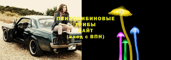 a pvp Горняк