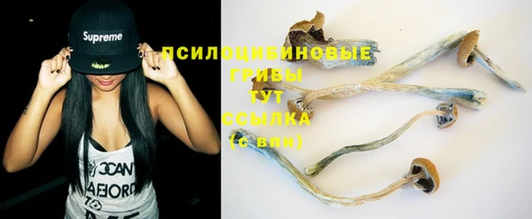 метадон Гусев