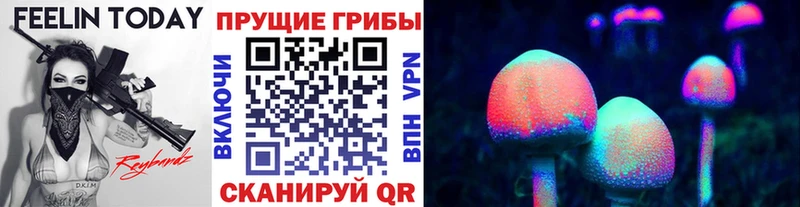 Купить где  Слободской  Псилоцибиновые грибы мицелий 